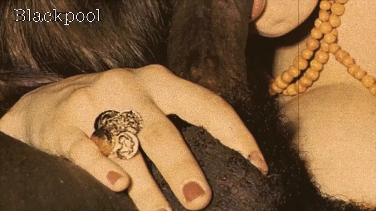 Blowjobs hairy interracial video