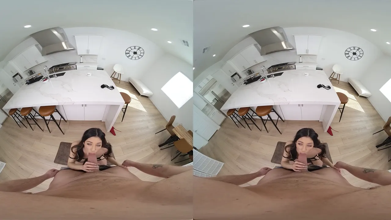 Brunette wants to try anal sex in POV hardcore video