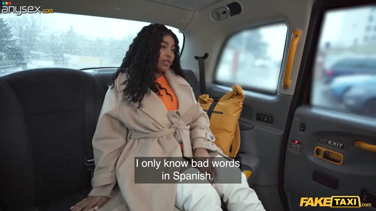 Ebony babe in stockings gets fucked hard doggystyle by taxi driver