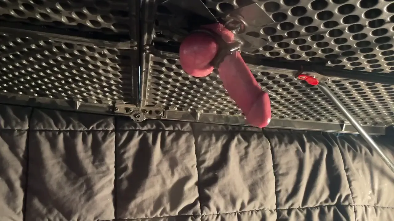 Amateur Rachaels Reward milks a big dick with rubber gloves and collects all the cum