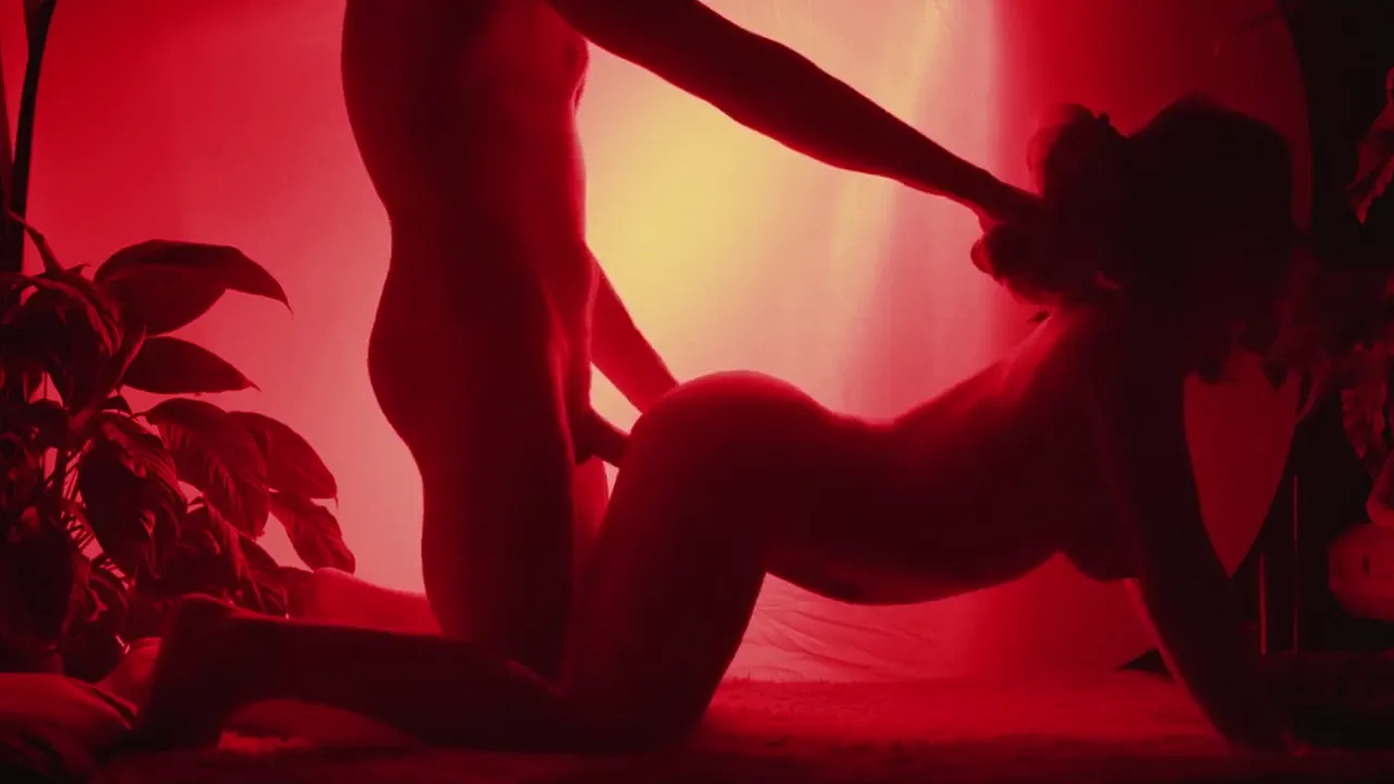 Exotic fuck in the red light (silhouette porno)