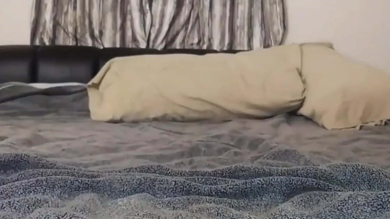 Slender amateur stretches her tight pussy with a giant dildo in a homemade solo video