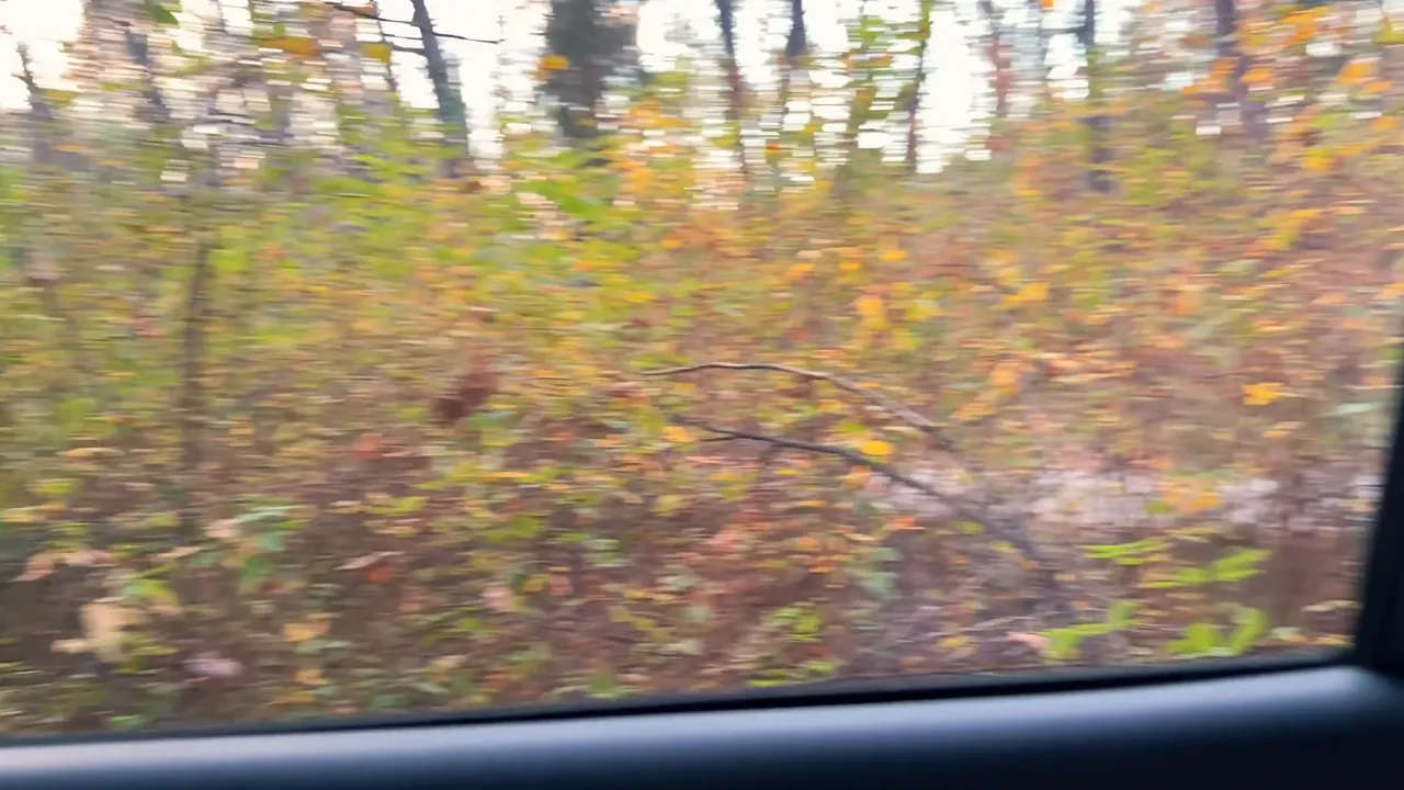Redhead Sunako gives a POV blowjob in a parked car